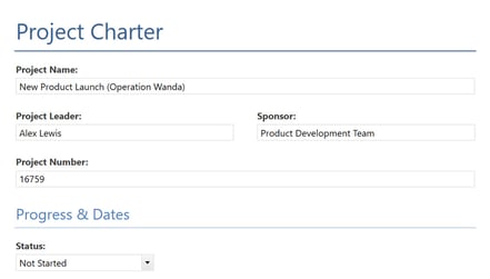 Example of a Project Charter in Minitab Workspace