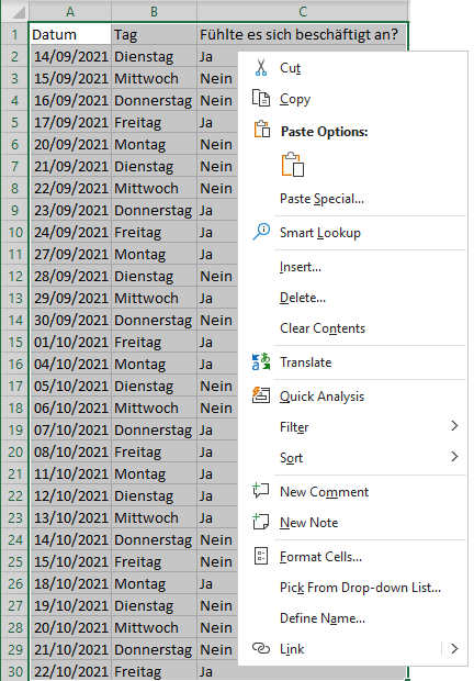 Datensatz zur technischen Unterstützung kopieren