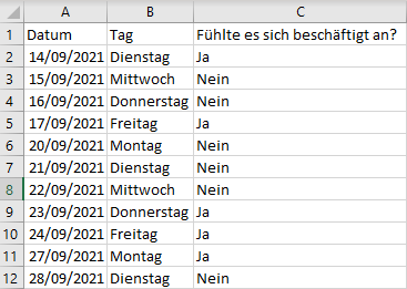 Datensatz zur technischen Unterstützung