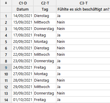 Datensatz zur technischen Unterstützung-Minitab
