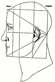 divine proportion