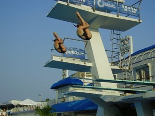 Plongeon