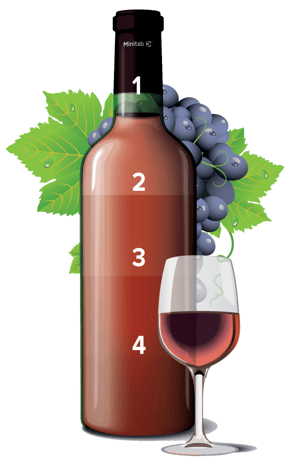 Ensure the Same Wine Every Time - wine bottle graphic v2