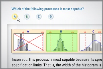 Quizzes after each section provide you the opportunity to learn which concepts you need to review.