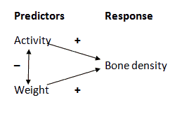 Diagram of bone density model