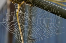 A web of correlations can help or hurt you A web of correlations can help or hurt you