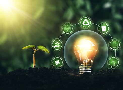 Plant growing from soil next to lightbulb that is surrounded by icons; icons contain sun, hand with plant growing from it, solar panel, recycle symbol, recycle bin, gas pump, and windmills. 