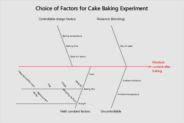 Fishbone Diagram