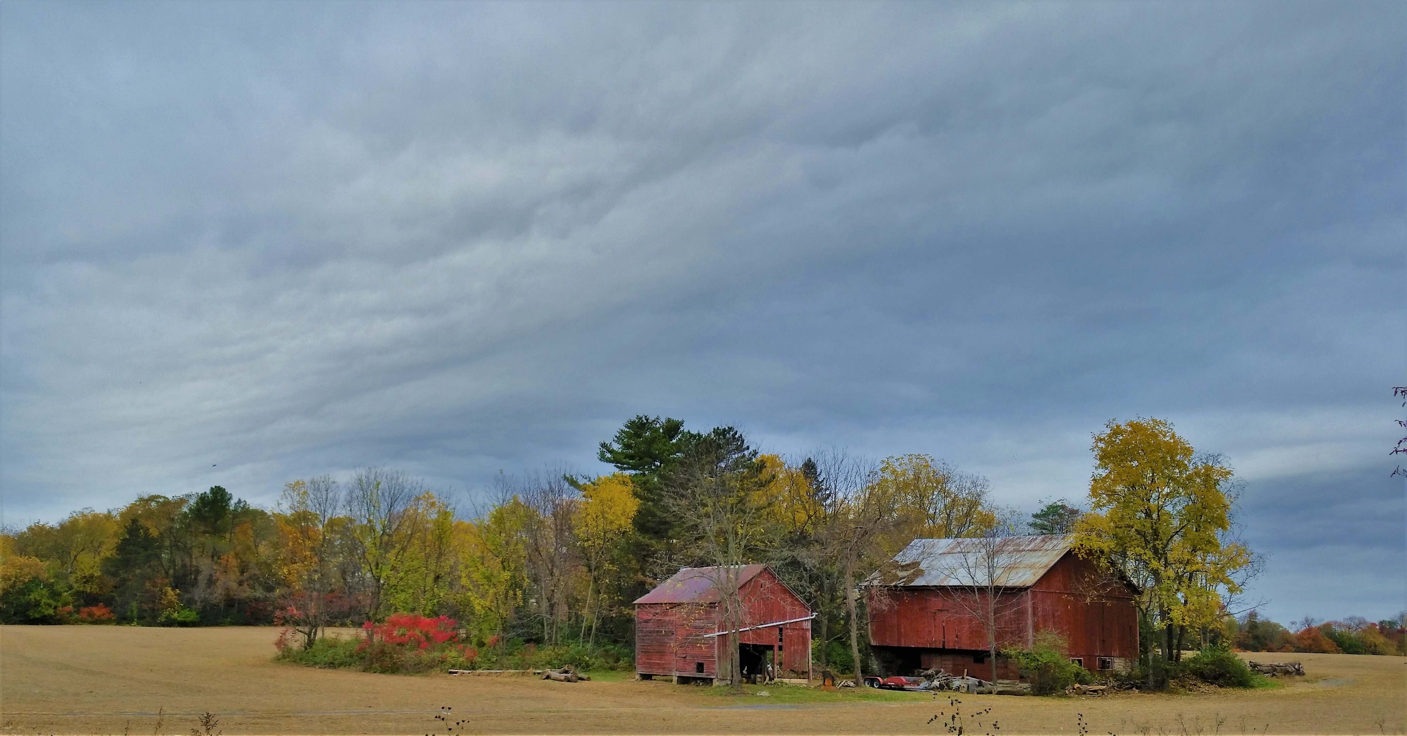 Barn
