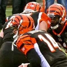 Bengals