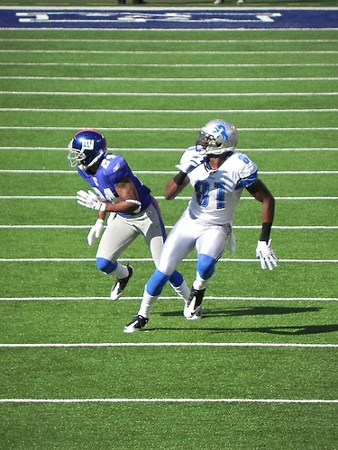 Calvin Johnson