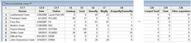 worksheet counts