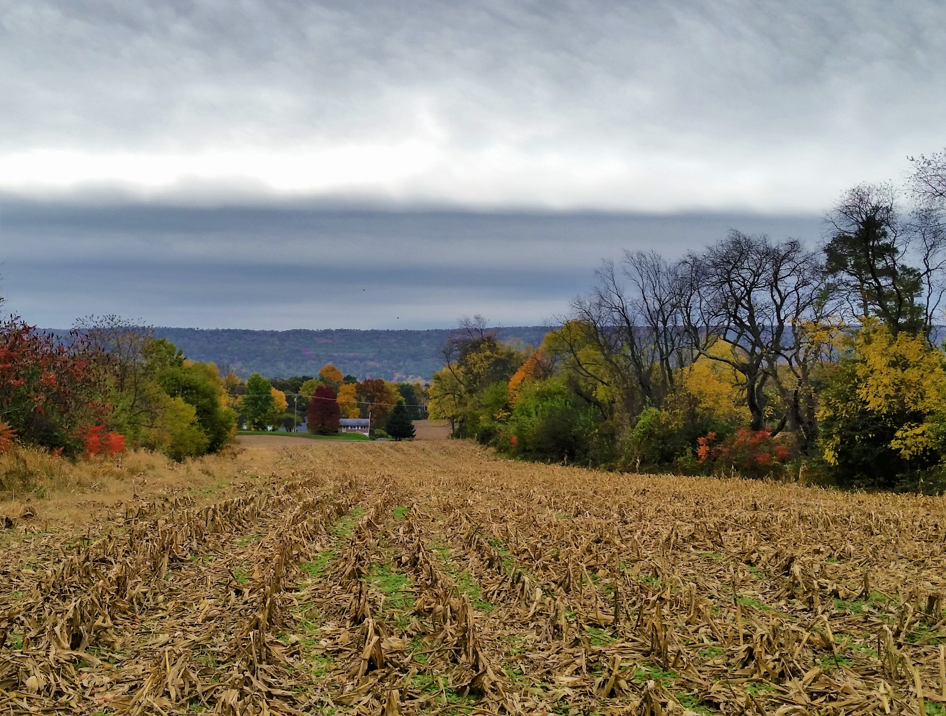 Harvest has come