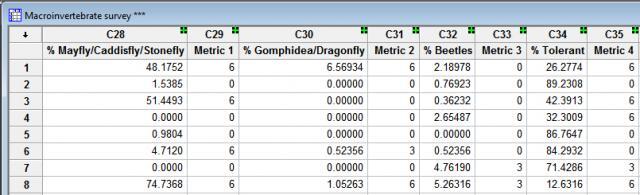 metrics worksheet