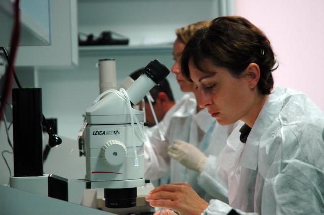 Scientist performing an experiment