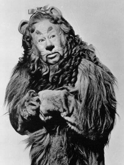 lion