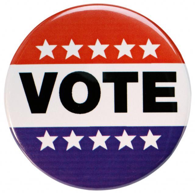 voter button