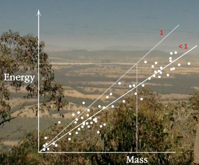 Wonder of Life plot of Mass and Energy