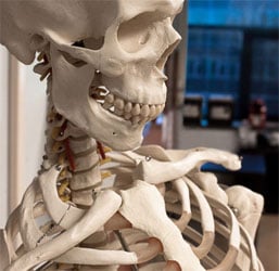 multicollinearity in regression model for bone density